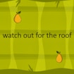 watch out for the roof
